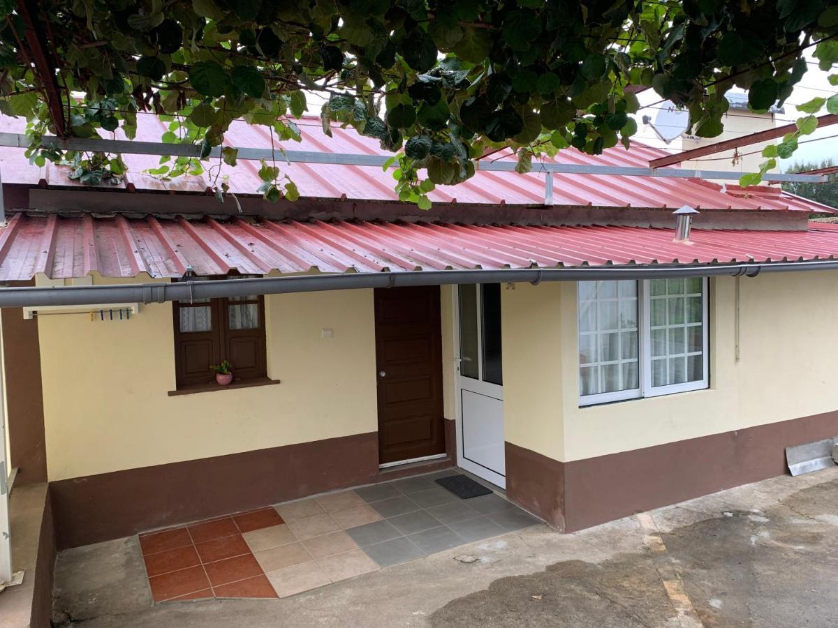 Casa Violeta *